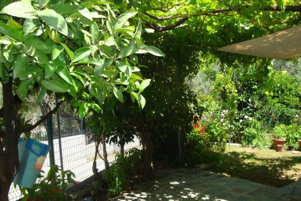 Holiday home Grapes And Roses Igoumenitsa