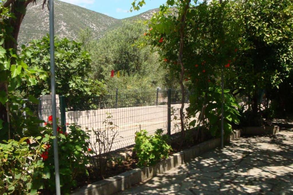 Holiday home Grapes And Roses