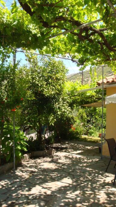 Grapes And Roses Igoumenitsa