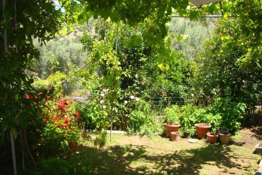 Grapes And Roses Holiday home *